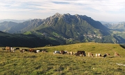 01 Alpe Arera, con vista sull'Alben...